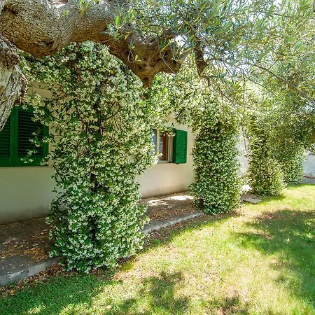 Carenza Holiday home